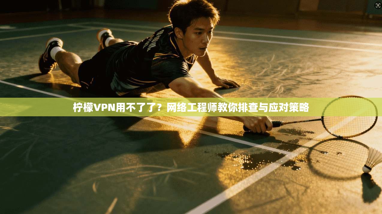 柠檬VPN用不了了？网络工程师教你排查与应对策略