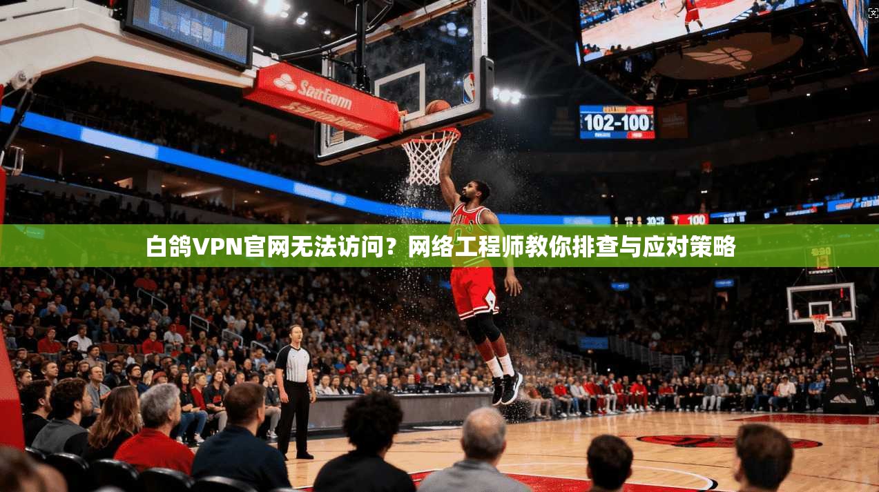 白鸽VPN官网无法访问？网络工程师教你排查与应对策略