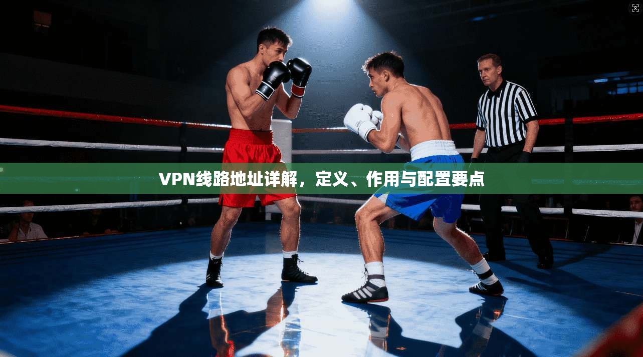 VPN线路地址详解，定义、作用与配置要点