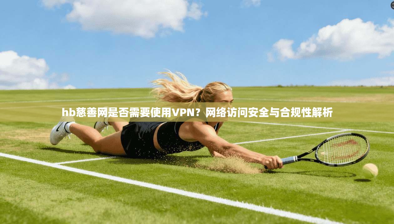 hb慈善网是否需要使用VPN？网络访问安全与合规性解析
