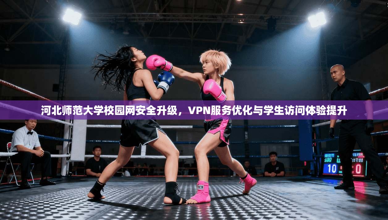 河北师范大学校园网安全升级，VPN服务优化与学生访问体验提升