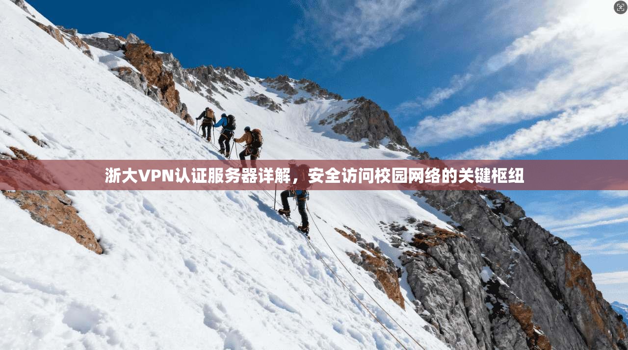 浙大VPN认证服务器详解，安全访问校园网络的关键枢纽
