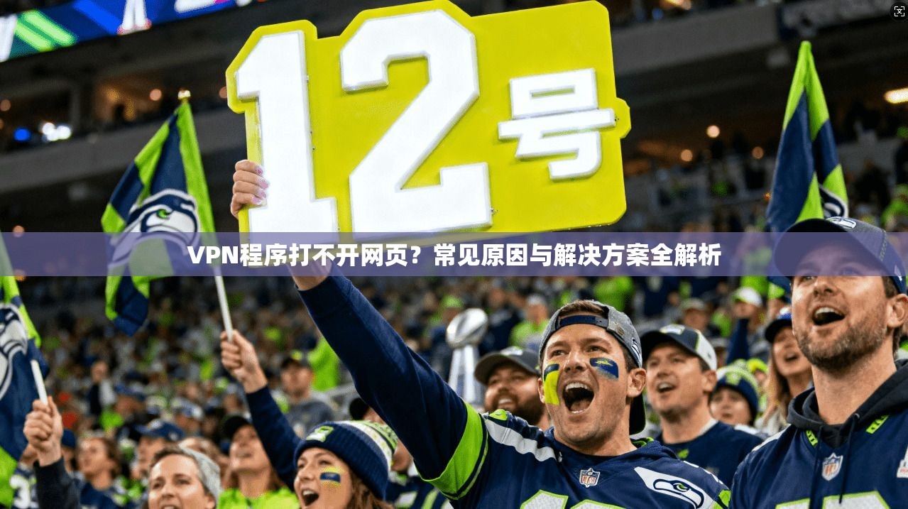 VPN程序打不开网页？常见原因与解决方案全解析