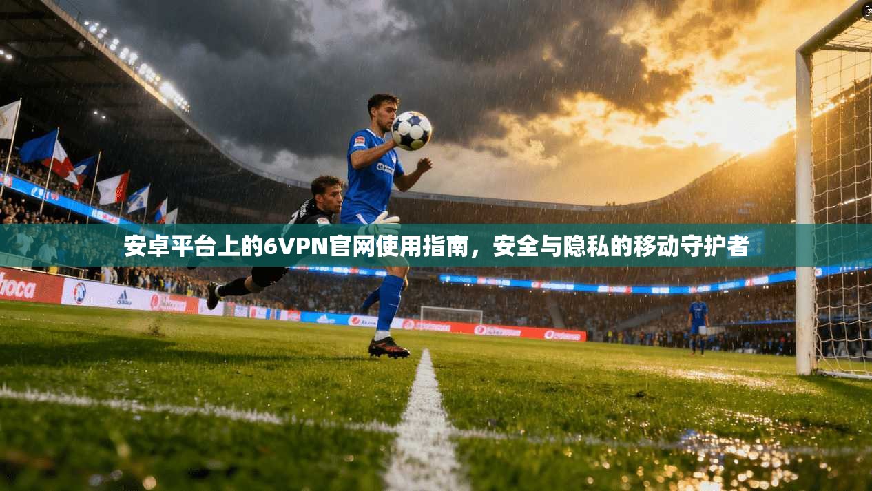 安卓平台上的6VPN官网使用指南，安全与隐私的移动守护者