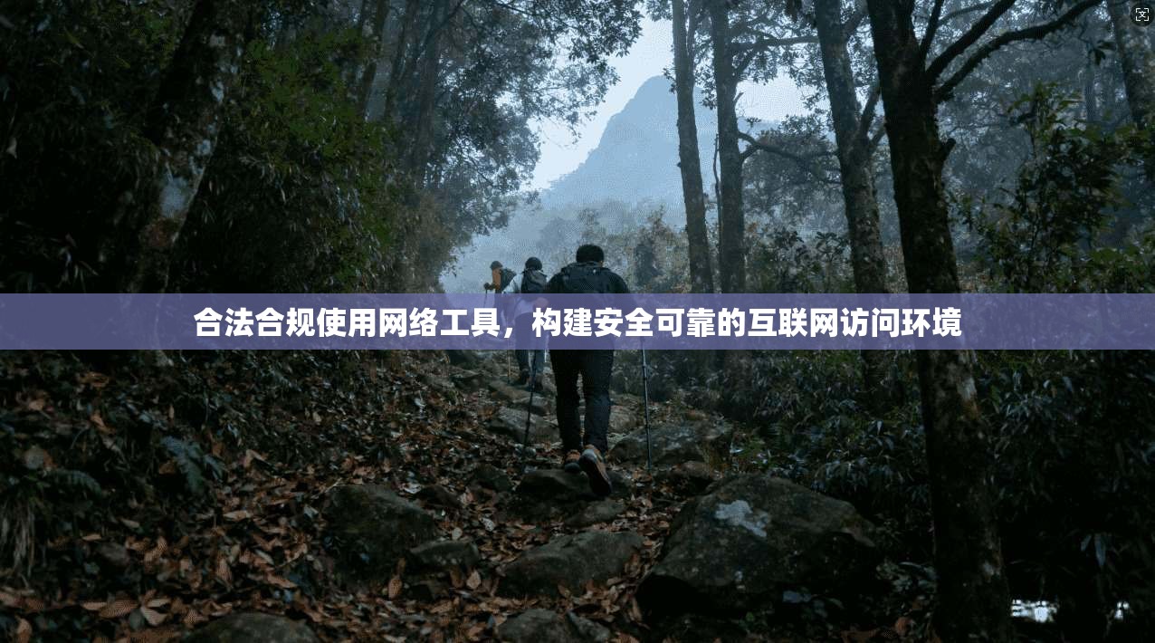 合法合规使用网络工具，构建安全可靠的互联网访问环境