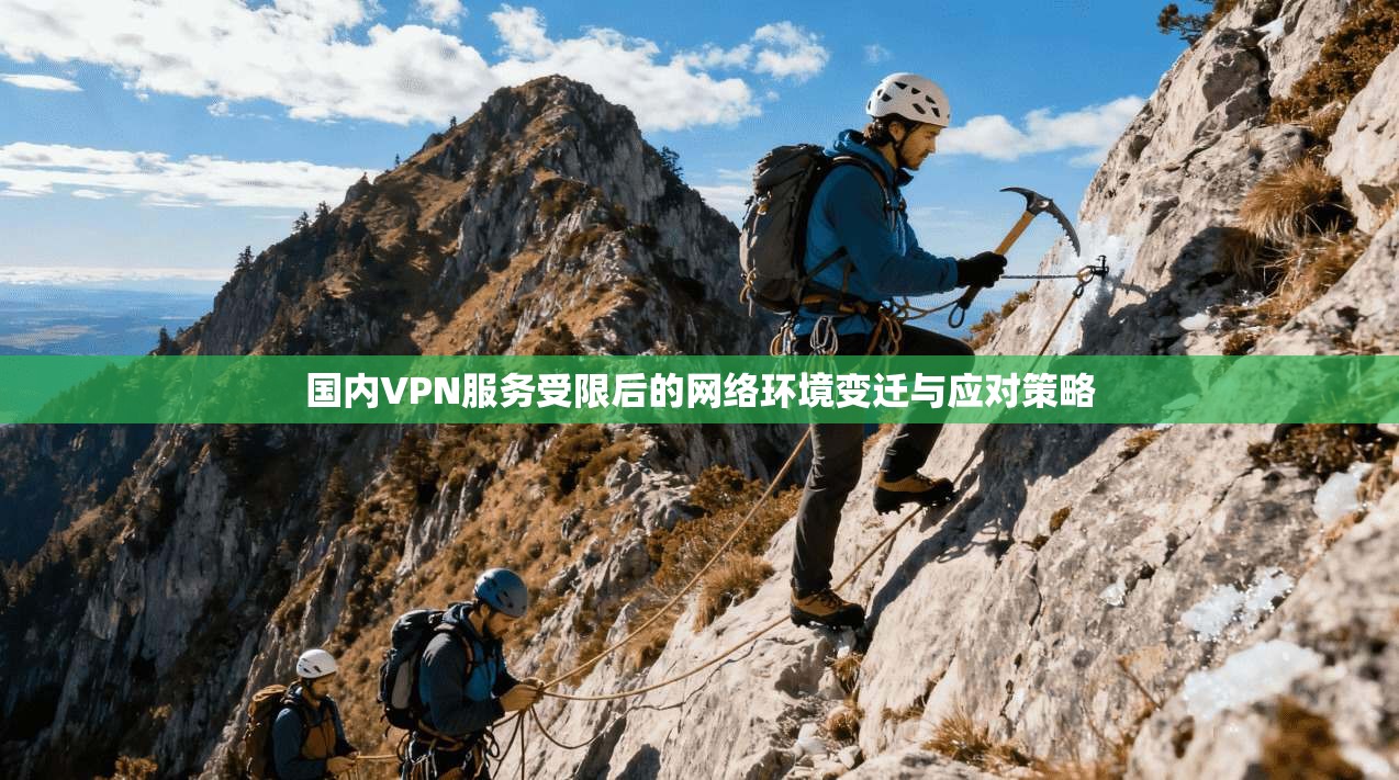 国内VPN服务受限后的网络环境变迁与应对策略