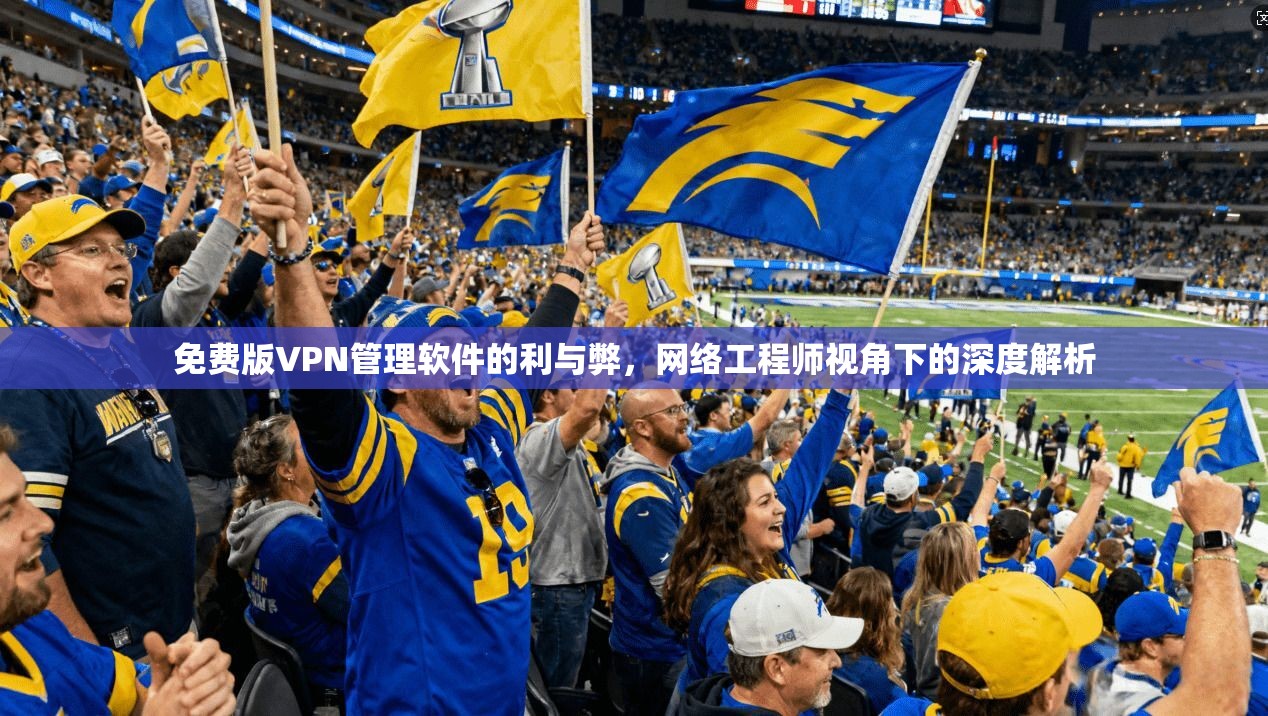 免费版VPN管理软件的利与弊，网络工程师视角下的深度解析