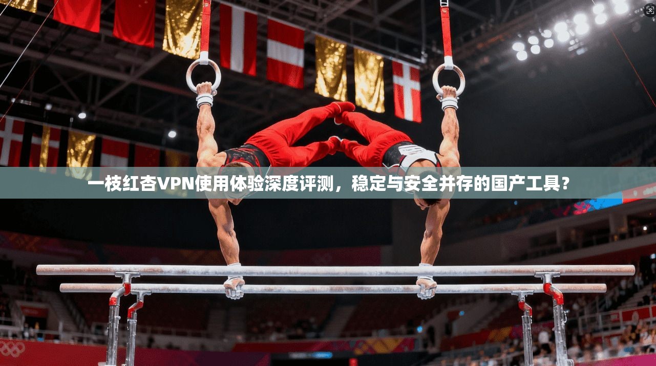 一枝红杏VPN使用体验深度评测，稳定与安全并存的国产工具？
