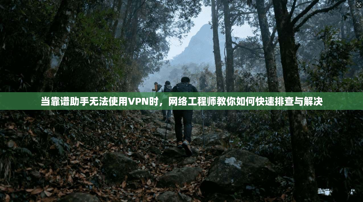 当靠谱助手无法使用VPN时，网络工程师教你如何快速排查与解决