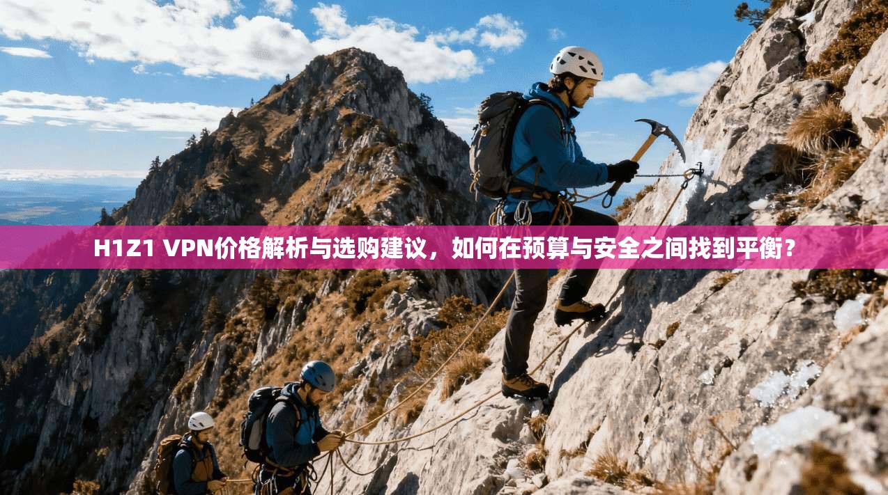 H1Z1 VPN价格解析与选购建议，如何在预算与安全之间找到平衡？