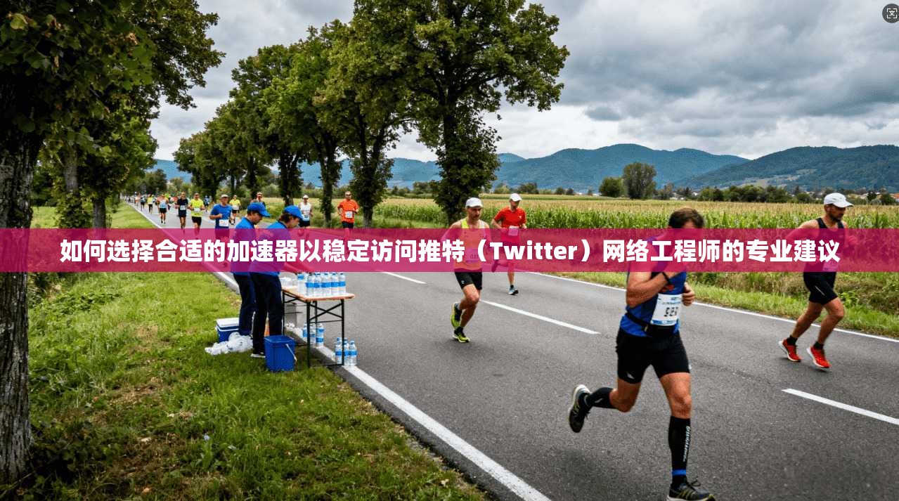 如何选择合适的加速器以稳定访问推特（Twitter）网络工程师的专业建议