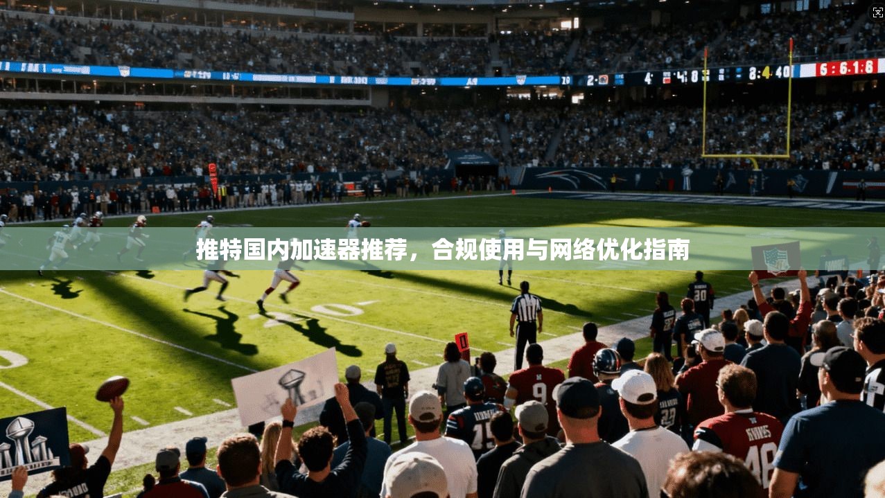 推特国内加速器推荐，合规使用与网络优化指南