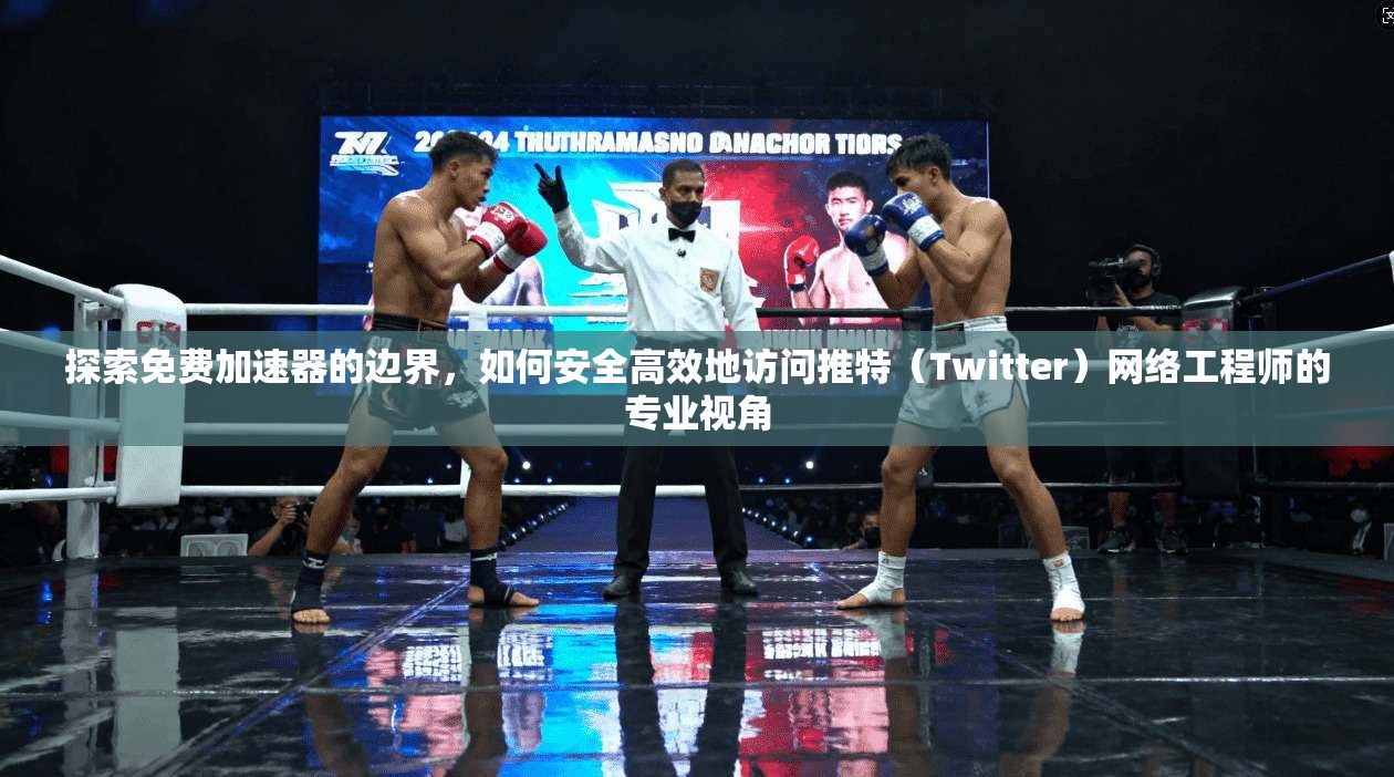 探索免费加速器的边界，如何安全高效地访问推特（Twitter）网络工程师的专业视角