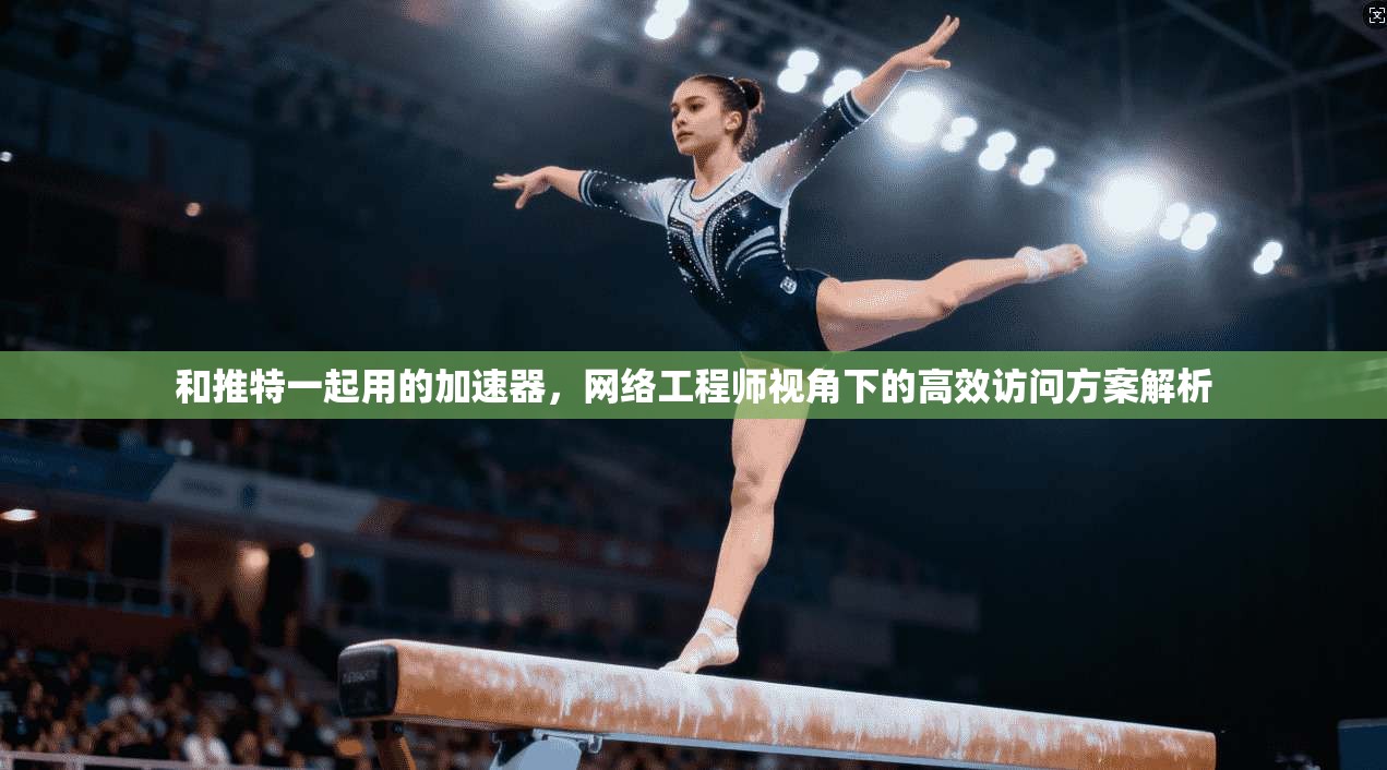 和推特一起用的加速器，网络工程师视角下的高效访问方案解析